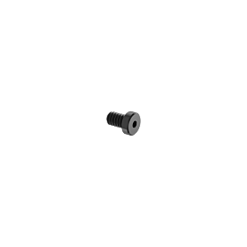 Marlin Loading Gate Spring Screw S/S