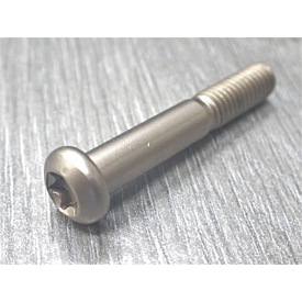 Howa Rear Guard/Action Screw - Blued