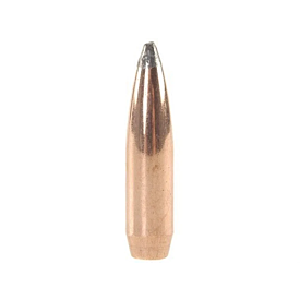 Speer 243 100Gr Spbt 100Pk