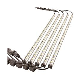 Kings 5 Bar Camp Light